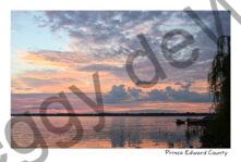 Sky Morning Bright Colours #4451