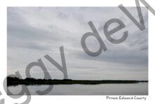 Sky Overcast Gray #4452