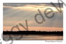 Sky Rays East Lake #4324