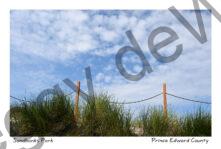 Sky Sandbanks Grass Sky #4455