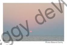 Sky Sunrise Cressy #3823