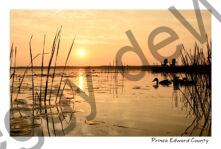 Sky Sunrise East Lake Ducks #4512