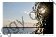 Sky Sunrise Light Burst #4457