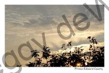 Sky Sunrise Rays #4714