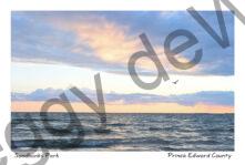 Sky Wonderful Sandbanks #4461