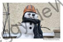 Snowman Al #4133