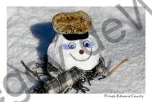 Snowman Blue Eyelashes #4654