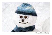 Snowman Blue Hat Closeup #4655
