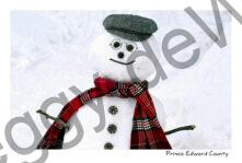 Snowman Glasses #4657