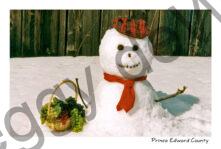 Snowman Grapes #332