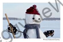 Snowman Hockey Closeup #3828