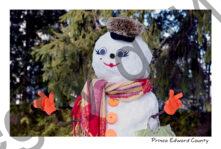 Snowman Leopard Hat #4660