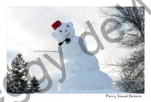 Snowman Parry Sound #2309