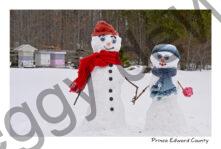 Snowmen Couple Hives CV #4331