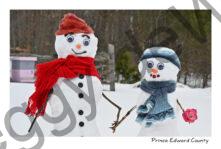 Snowmen Couple Hives Closeup #4330