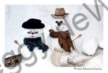 Snowmen Couple Sled #4680