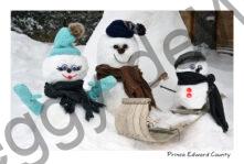 Snowmen Family Aqua #4682