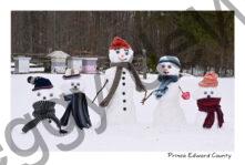 Snowmen Family Hives #4332