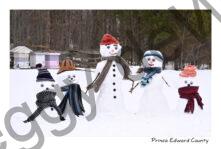 Snowmen Family Hives Kabota #4333