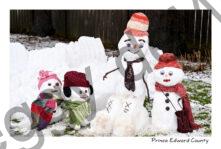 Snowmen Family Portrait #4337