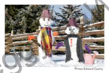 Snowmen Fence  Cedar Rail #4138
