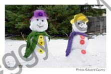 Snowmen Hats Purple & Yellow #3839