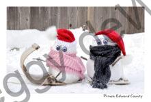 Snowmen Hats Sara #4465