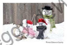 Snowmen Hats Sara Sled #4466