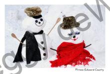 Snowmen Leopard Hats #4687