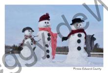 Snowmen Nicole #3845