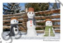 Snowmen Three Fence #4140