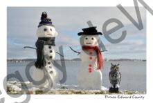 Snowmen Waupoos Couple Owl #3986