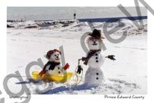 Snowmen Wellington Beach #604