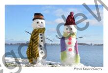 Snowmen Wilma and Friend #3988