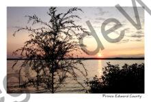 Sunrise Log Cabin Pt #3857