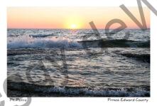 Sunset Pt Petre Water #4602