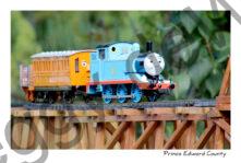 Train Thomas #3630
