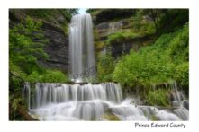 Waterfall Cape Vessey Summer #3448