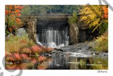 Waterfalls Queensborough #1030