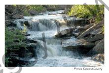 Waterfalls South Bay #945