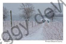 Waupoos Blueberries Winter #4146