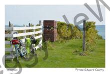 Waupoos Cider Co Bikes Fence #4147