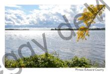 Waupoos Gap Fall #4148