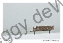Wellington Beach Bench Winter #3462