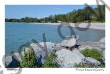 Wellington Beach Mullen #3865