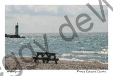 Wellington Beach Picnic Table #3463
