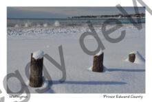 Wellington Beach Posts Winter #3995