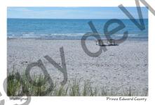 Wellington Beach Table #3868