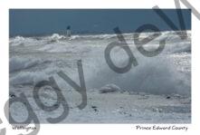 Wellington Beach Waves Winter #1156