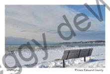 Wellington Bench Winter #3469